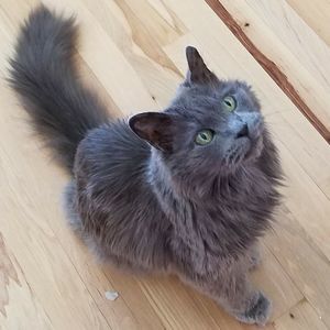 Meet your Posher, Kristi